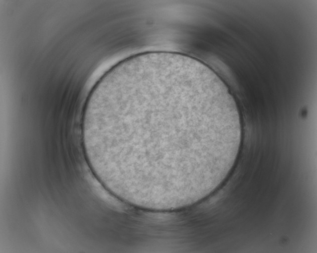 X0000115191192200911251413