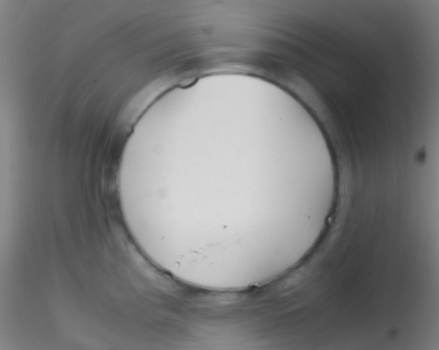 X0000115191193200911251413