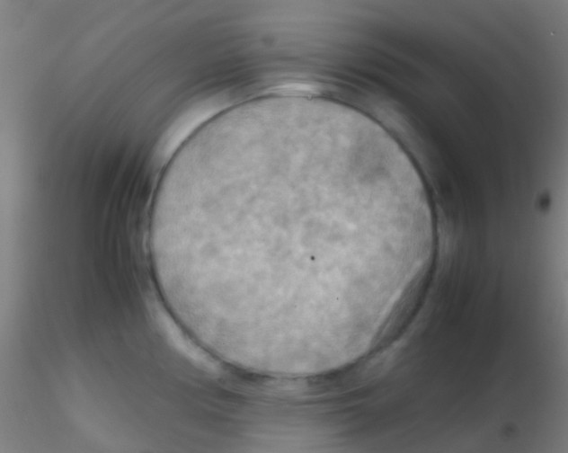 X0000115191194200911251412