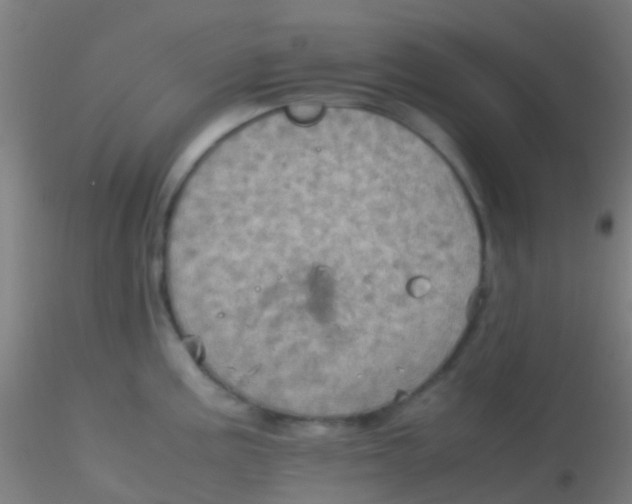 X0000115191195200911251412