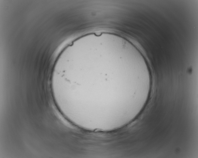 X0000115191197200911251412