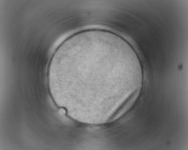 X0000115191199200911251412