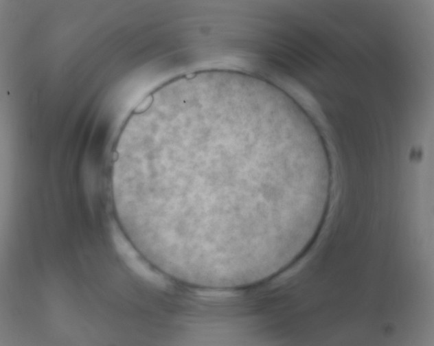 X0000115191200200911251412