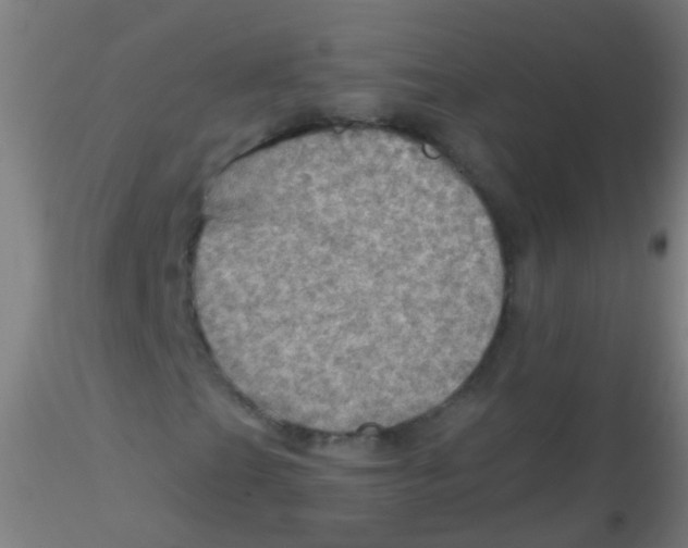 X0000115191201200911251412