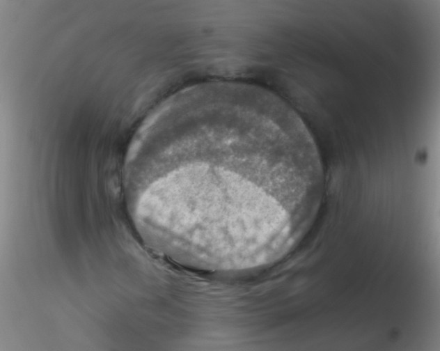 X0000115191202200911251412