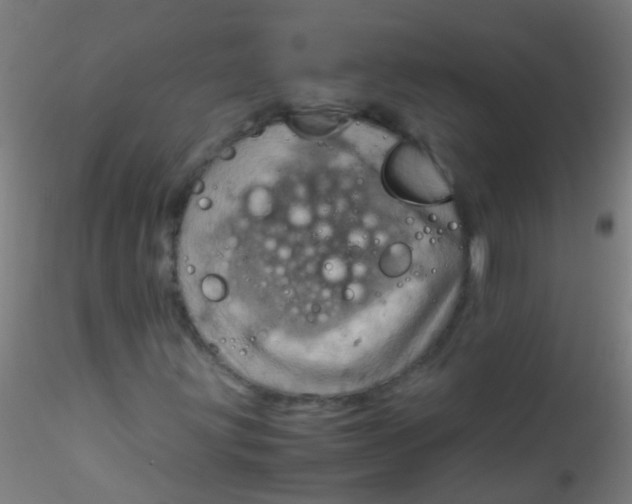 X0000115191203200911251412