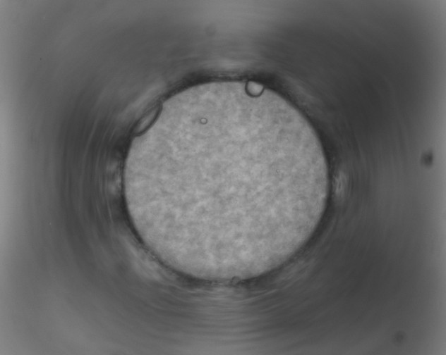 X0000115191204200911251412