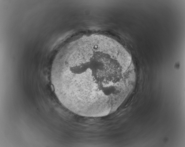 X0000115191205200911251412