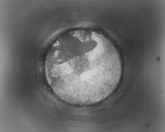 X0000115191206200911251412