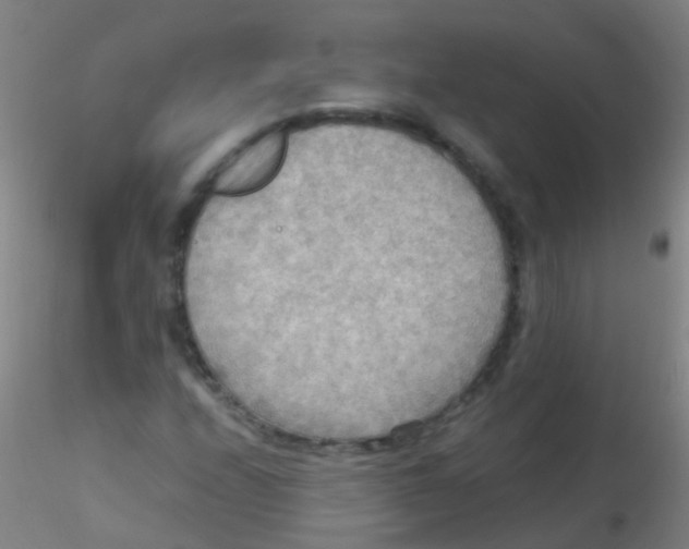 X0000115191208200911251412