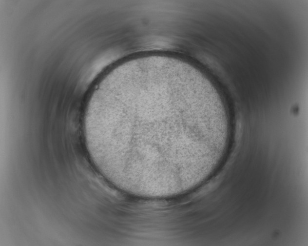 X0000115191210200911251412