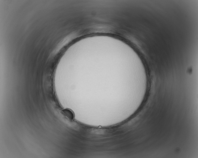 X0000115191211200911251412