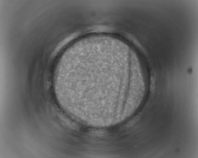 X0000115191213200911251412