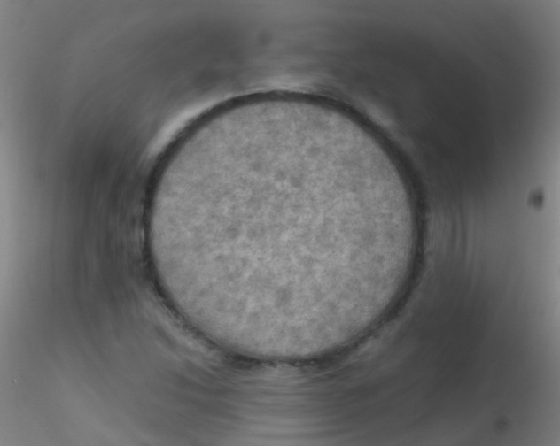 X0000115191214200911251412