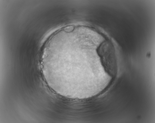 X0000115191215200911251412