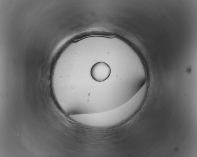 X0000115191216200911251412