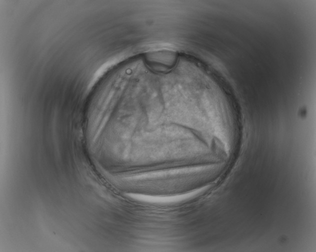 X0000115191218200911251412