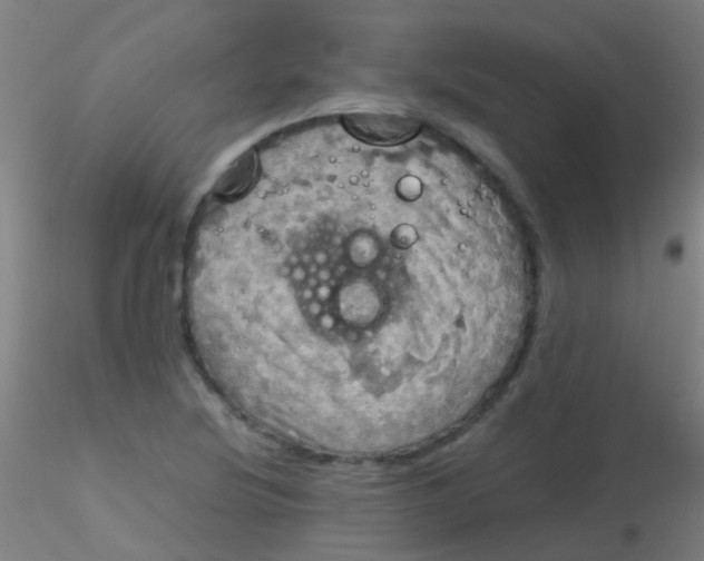 X0000115191220200911251412