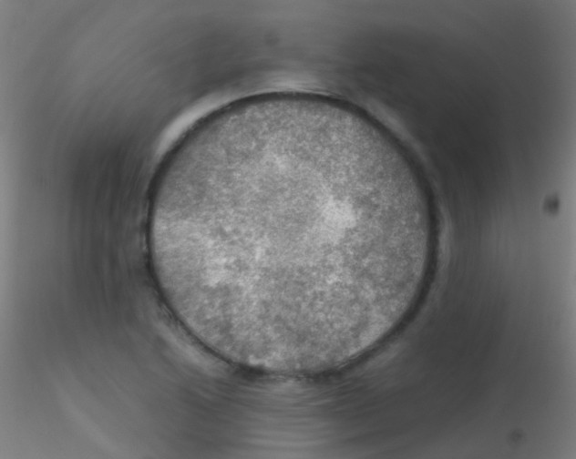 X0000115191222200911251412