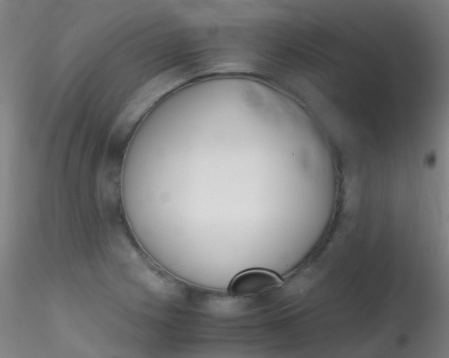 X0000115191225200911251412