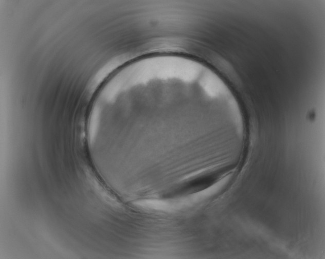 X0000115191226200911251412