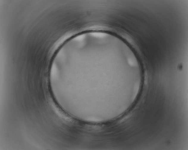 X0000115191229200911251412