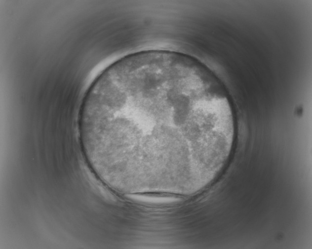 X0000115191230200911251412