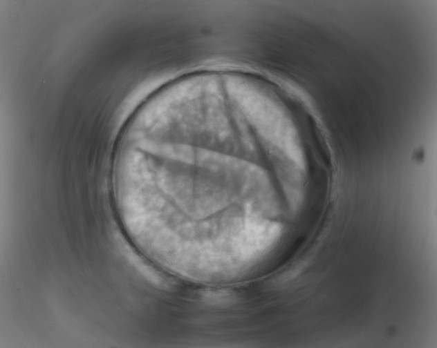 X0000115191231200911251412