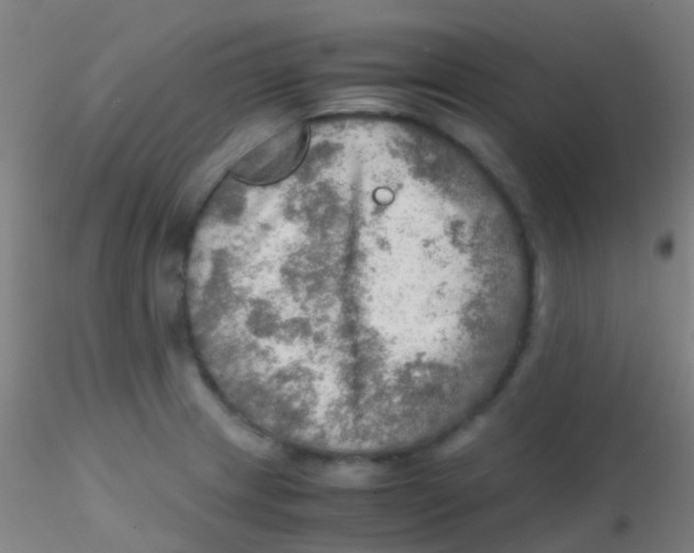 X0000115191233200911251412