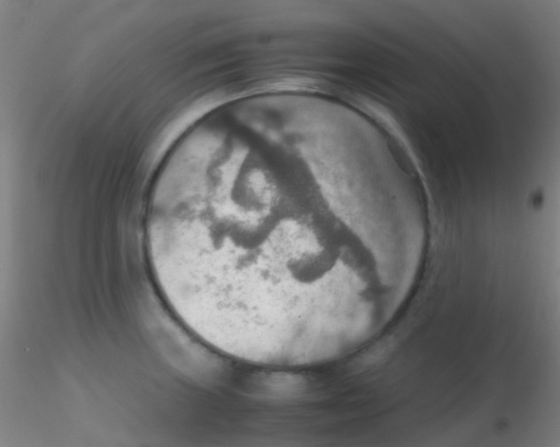 X0000115191235200911251412