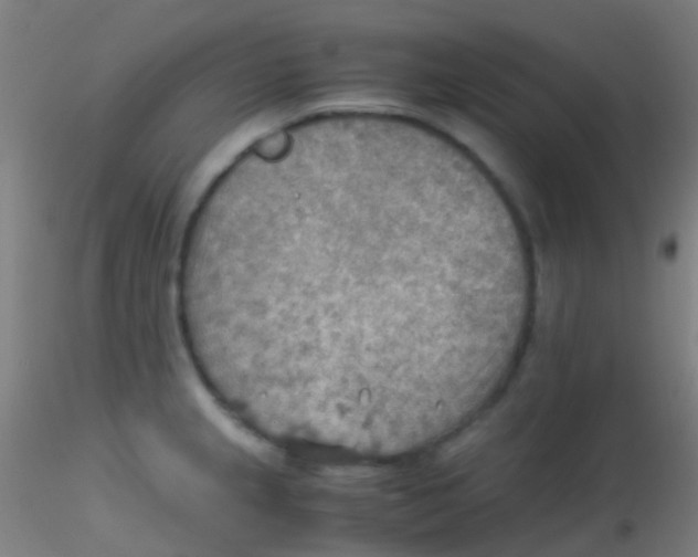 X0000115191237200911251412