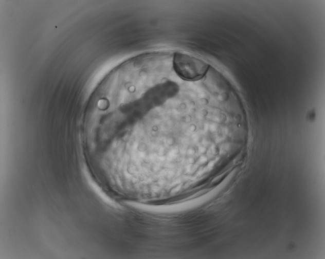 X0000115191239200911251412