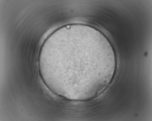 X0000115191240200911251412