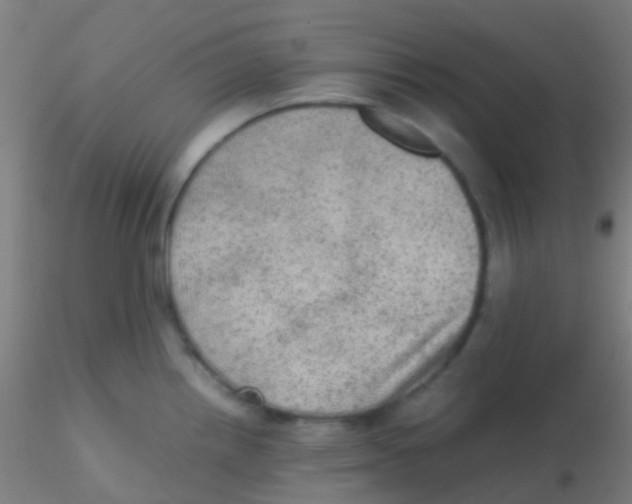 X0000115191242200911251412