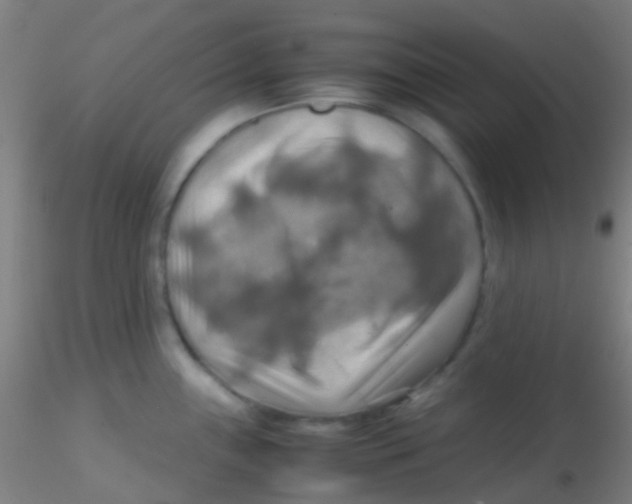 X0000115191243200911251412