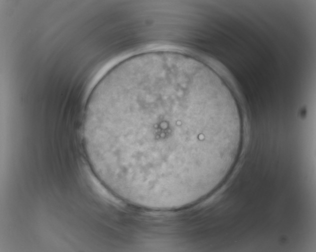 X0000115191244200911251412