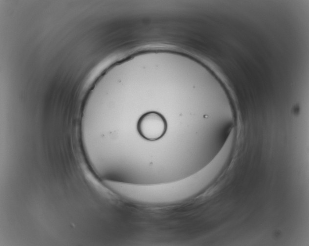 X0000115191245200911251412