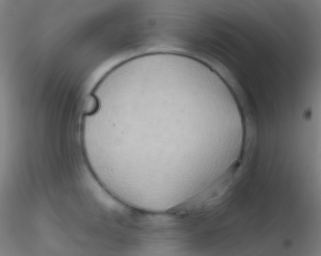 X0000115191246200911251412