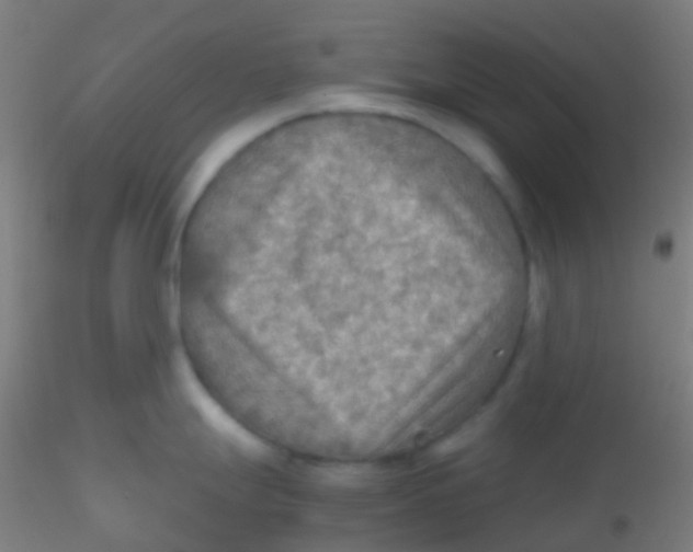 X0000115191247200911251412