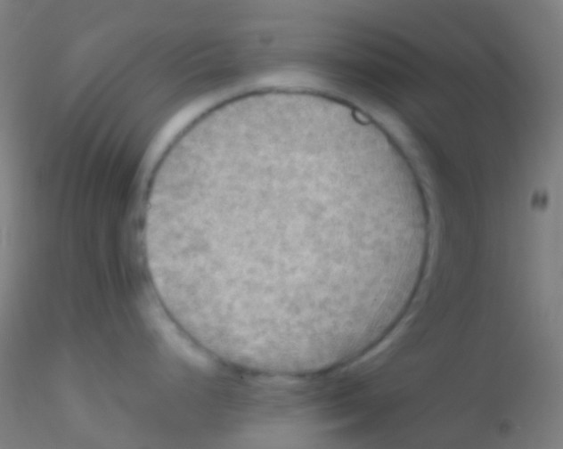 X0000115191248200911251412