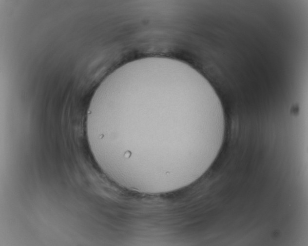 X0000115191250200911251412