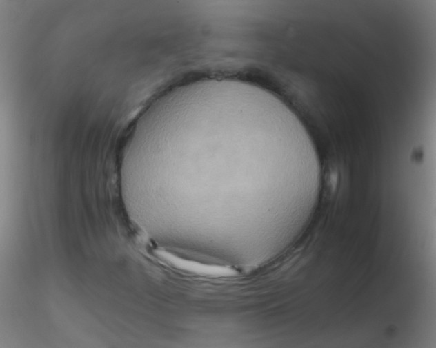 X0000115191252200911251412