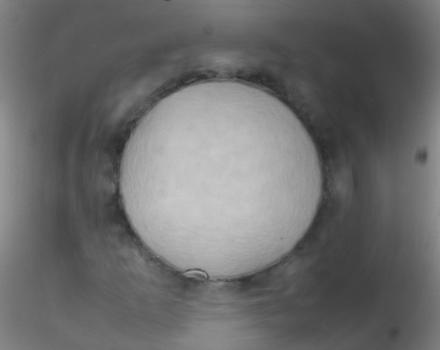 X0000115191253200911251412