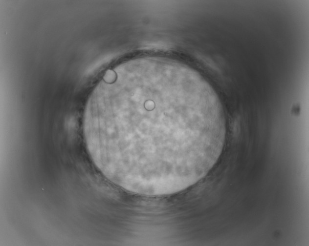 X0000115191254200911251411