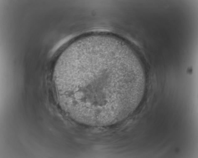 X0000115191255200911251411