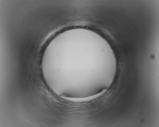 X0000115191256200911251411