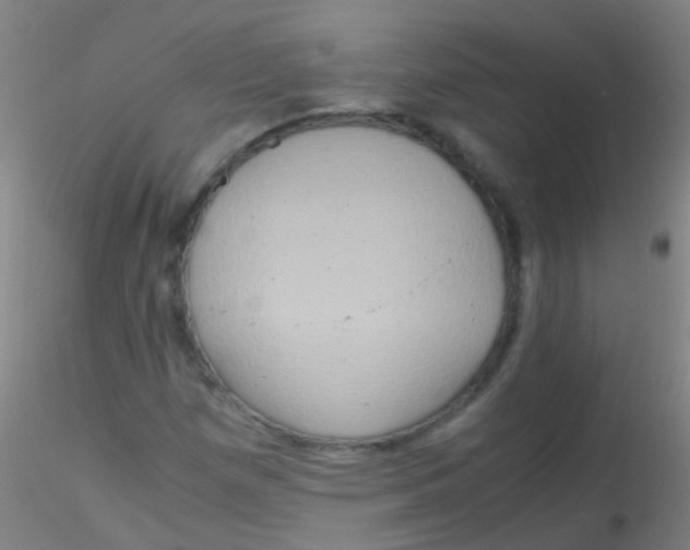 X0000115191257200911251411