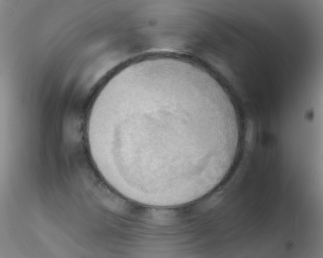 X0000115191258200911251411