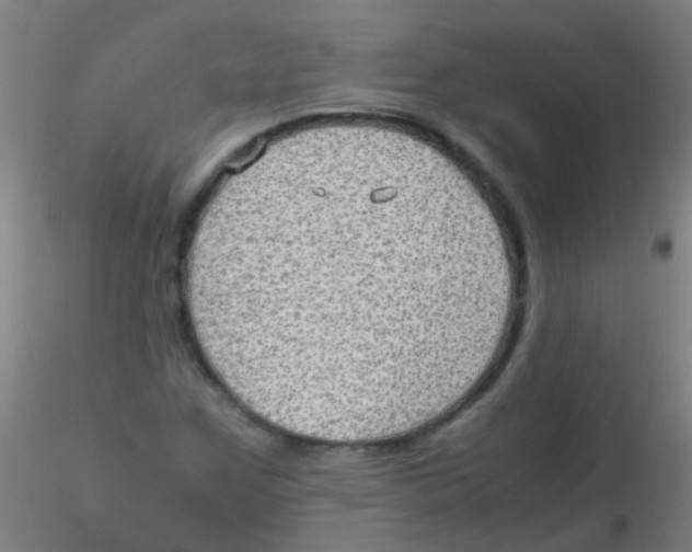 X0000115191259200911251411