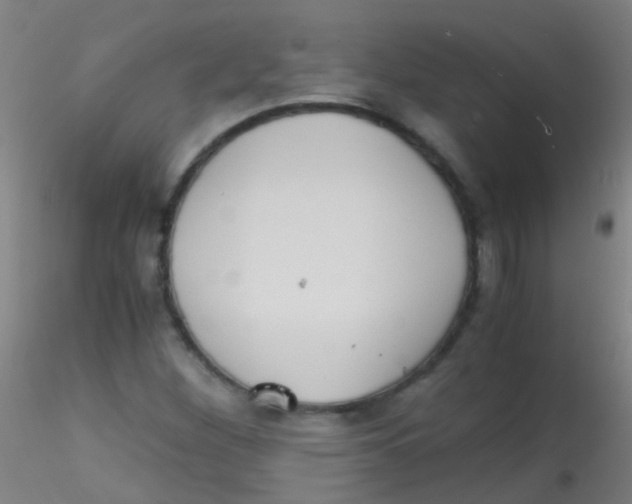 X0000115191260200911251411